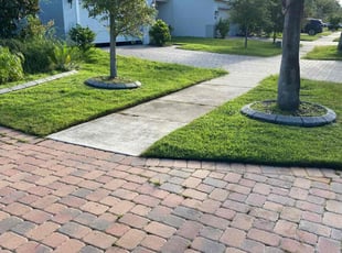 Jacqueline W.'s Lawn Service service result