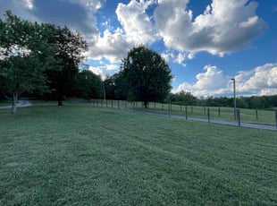 Stacy S.'s Lawn Service service result