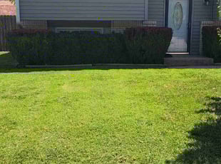 Bush Trimming by William Beacham for Linda P. in Wichita, KS