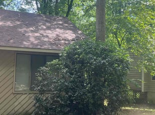 Bush Trimming by Maria Ramos for Julie G. in Midlothian, VA