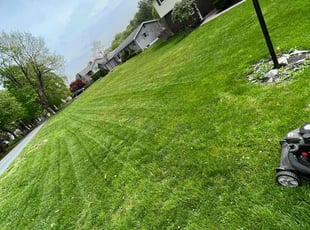 suzanna R.'s Lawn Mowing Service service result