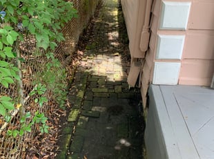 Leaf Removal by Gary Allen for Nicole P. in New Orleans, LA