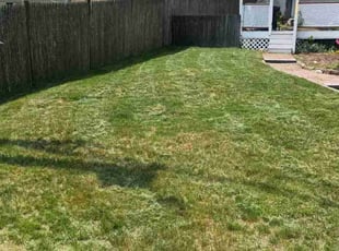 LaTina J.'s Yard Cutting service result