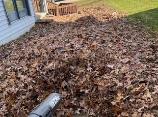 Leaf Removal by Carlos Portillo for Aaron S. in Springfield, VA