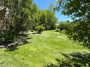 Niki M.'s Yard Cutting service result