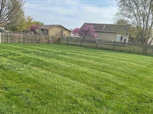 Augustine M.'s Lawn Service service result