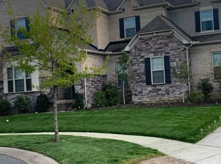 Shamone S.'s Lawn Service service result