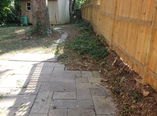Cleanups by Derrick Graves for Taryn J. in Takoma Park, MD