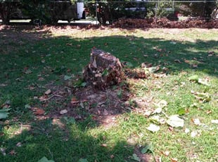 Cleanups by Dakota Lally for James B. in Midwest City, OK