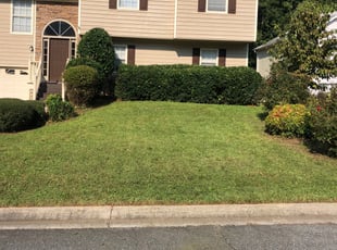 Bush Trimming by Easton Nelson for Raenelle L. in Woodstock, GA