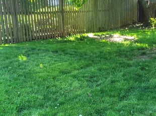 Cleanups by Gustavo Martinez for Arthur S. in Springfield, VA