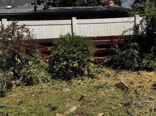 Cleanups by Evy Alexander Armas Gonzalez for Diane L. in Orem, UT