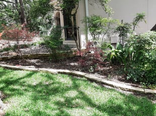 Leaf Removal by Gregory Kluetz for Candy G. in San Antonio, TX