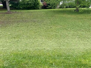 Waliy S.'s Lawn Care service result