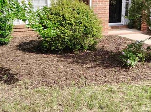 Weeding by Sharif Bennett for Cornelius C. in Charlotte, NC