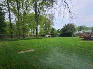 Anita T.'s Lawn Care service result