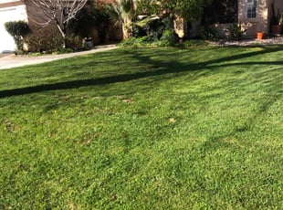 Rolla P.'s Lawn Maintenance service result
