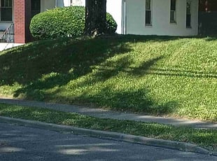 Bush Trimming by Mikey Reeves for Eddie Y. in Cincinnati, OH
