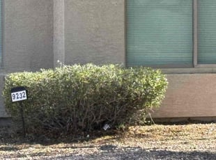 Bush Trimming by Bobby Parris for Jacqueline F. in Peoria, AZ