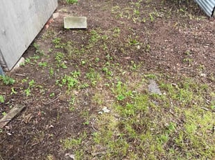 Cleanups by Ron O'Shields for Misty A. in Sand Springs, OK