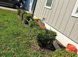Bush Trimming by Imunique Hill for Isaac R. in Tulsa, OK