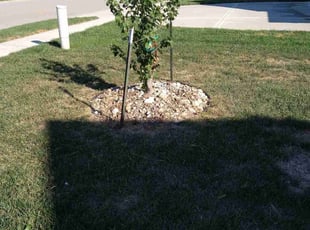 Weeding by Will Dalton for Nolan K. in Kansas City, MO