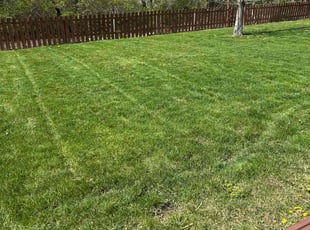 Amanda K.'s Lawn Care service result