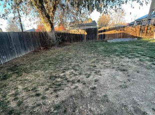 Leaf Removal by Eugenio PΓ©rez for Quintin S. in Denver, CO