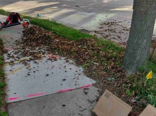 Leaf Removal by De'von Wardlow-Williams for Valerie N. in Milwaukee, WI