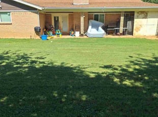 Tamara J.'s Lawn Service service result