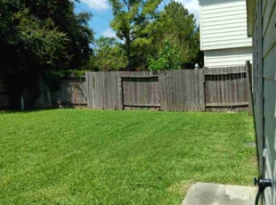Daisy T.'s Lawn Mowing service result