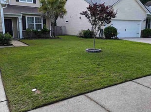 Natalie M.'s Lawn Care service result