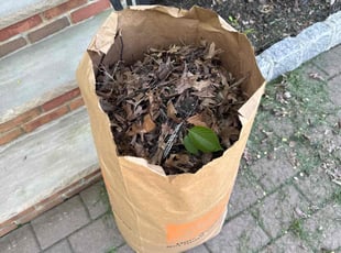Cleanups by Joshua Vega for Kevin R. in Closter, NJ