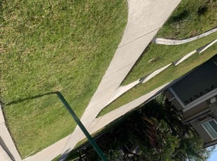 Tracie B.'s Lawn Care service result