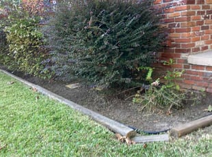 Weeding by Robert Huntsinger for Holly B. in Tallahassee, FL