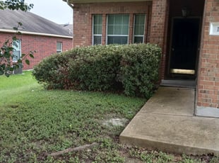 Bush Trimming by Joshua Cabiya for Seungcheol Y. in Kyle, TX