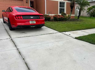 Bush Trimming by William Chavers for Justin H. in Ruskin, FL