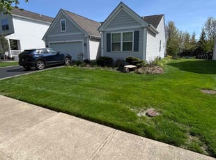 Carla G.'s Lawn Service service result
