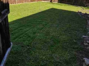 Antwon R.'s Lawn Mowing service result