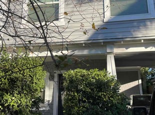 Bush Trimming by Curtis Crawford for Zack T. in Tampa, FL