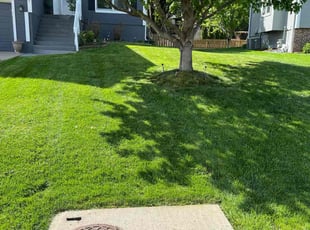 Channing C.'s Lawn Service service result