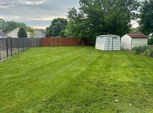 Vector B.'s Lawn Care service result