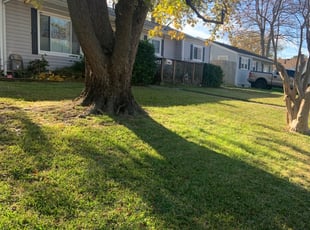 Cleanups by Danielle Patterson for Patricia P. in Virginia Beach, VA