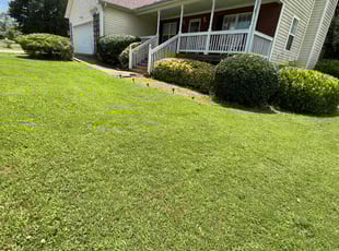 Bush Trimming by Jamaul Cheddie for Mikki H. in Covington, GA
