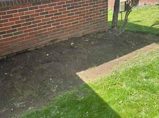 Weeding by David Rasulov for Ebony C. in Pittsburgh, PA