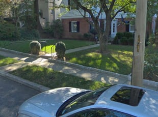 Bush Trimming by Kamonta Hackey for Laura R. in Washington, DC