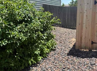 Weeding by Jesse Nunez for Bradon E. in Aurora, CO