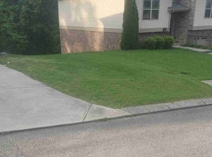 Weeding by Nathan Christiansen for Tonya K. in Ooltewah, TN
