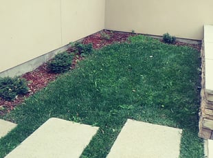 Leaf Removal by Marsha Fosnight for Juan I. in Denver, CO