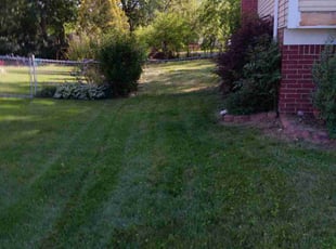 Leaf Removal by Megan Akkanen for Bridgette M. in Livonia, MI